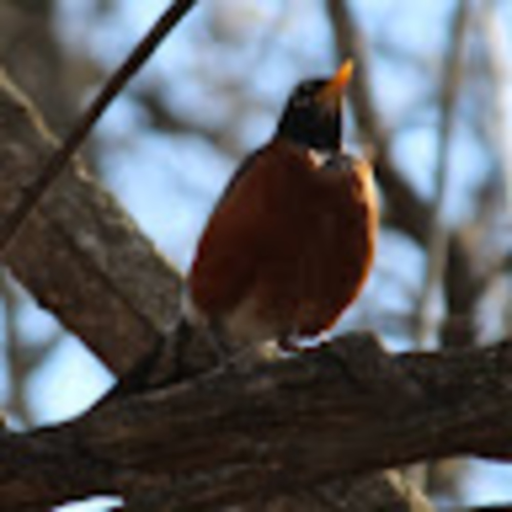 Meet your Posher, Delaney